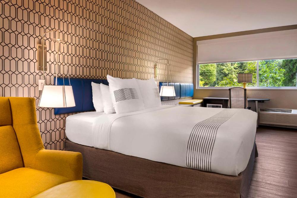 King Room with Roll-in Shower - Disability Access/Non-Smoking interior